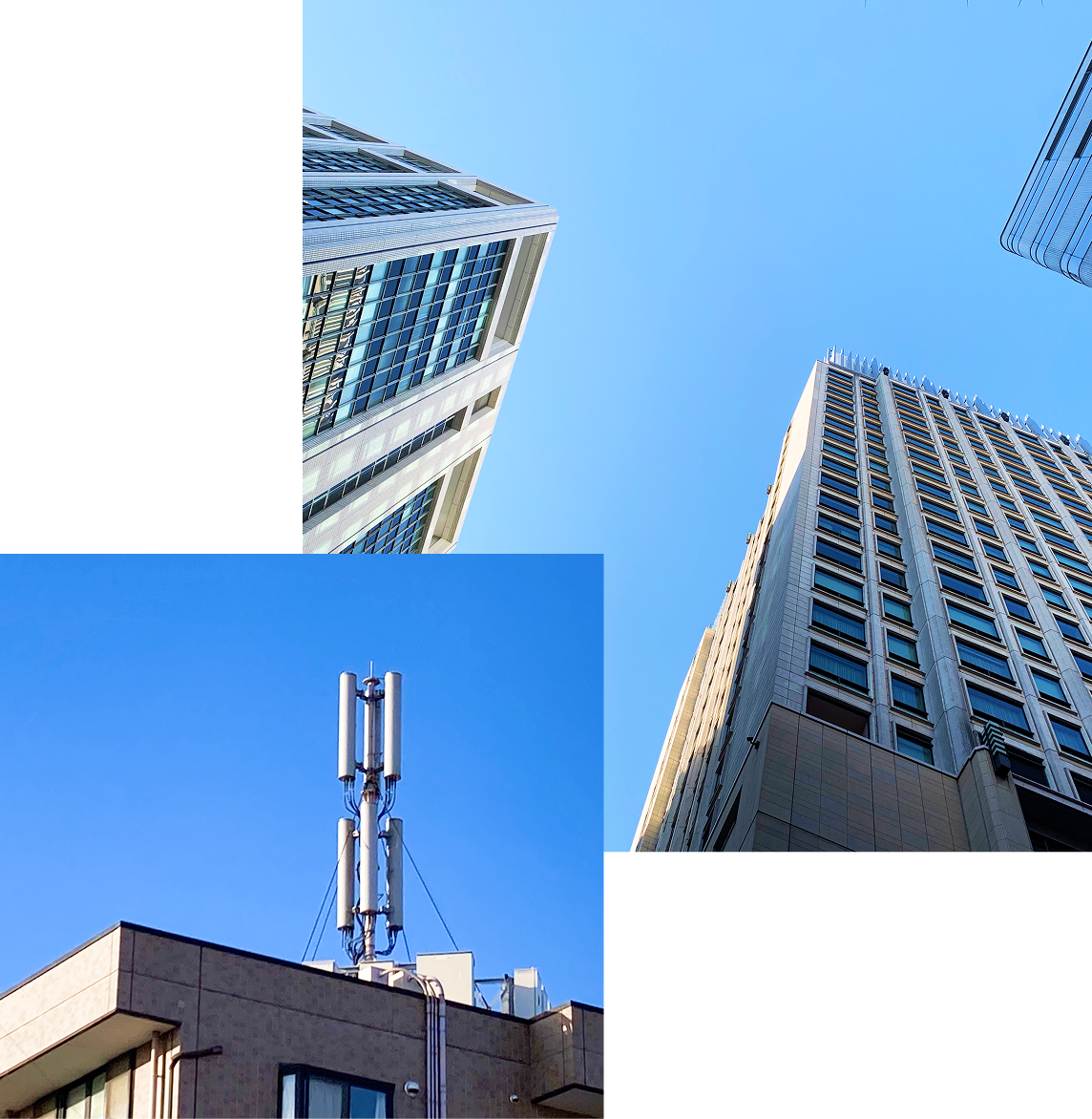 会社情報